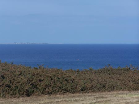 le terrain
